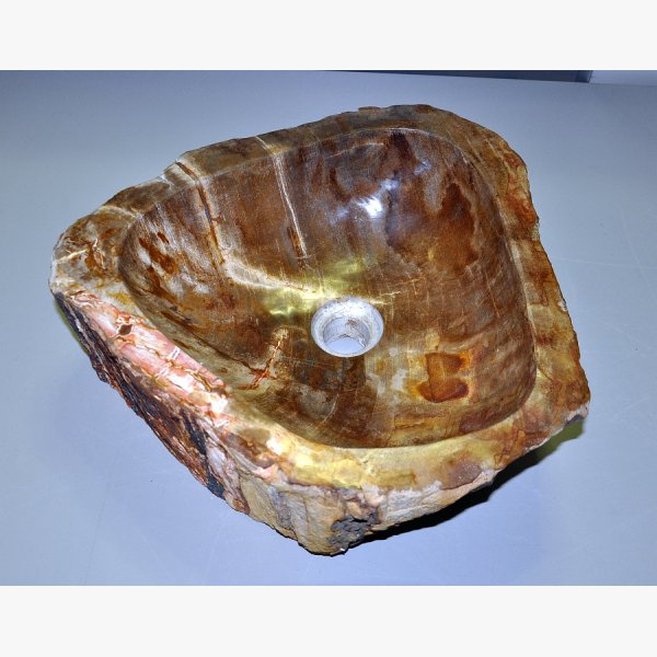 Wash basin of petrified wood