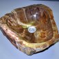 Wash basin of petrified wood