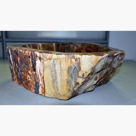 Wash basin of petrified wood
