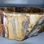 Wash basin of petrified wood