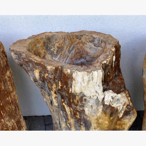 Ice fountain, kneip pool of petrified wood