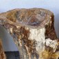 Ice fountain, kneip pool of petrified wood