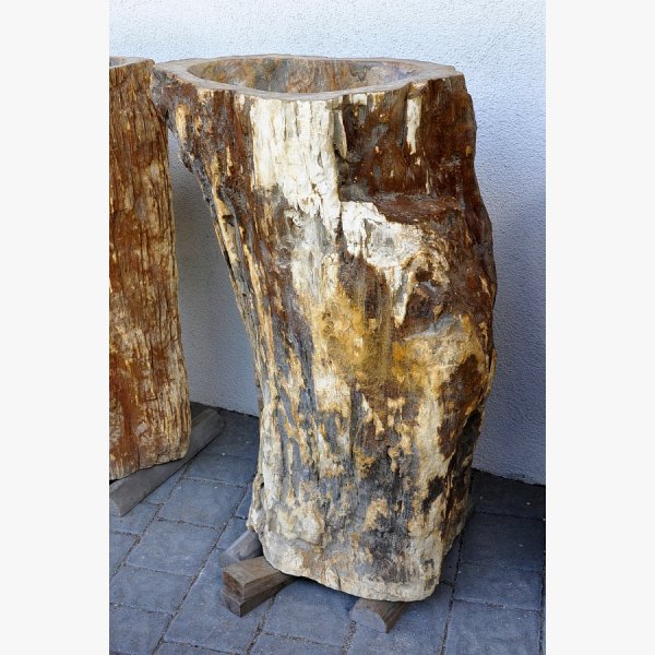 Ice fountain, kneip pool of petrified wood