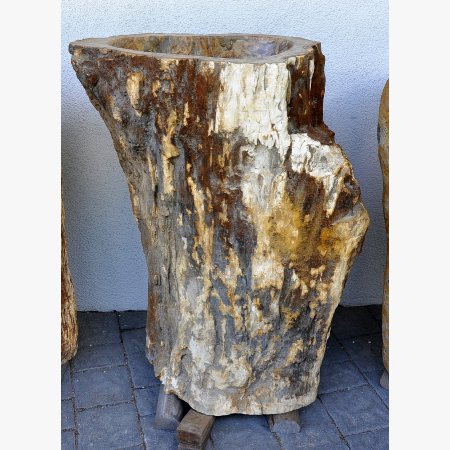 Ice fountain, kneip pool of petrified wood