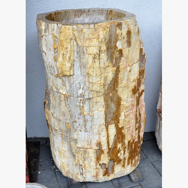 Ice fountain, kneip pool of petrified wood