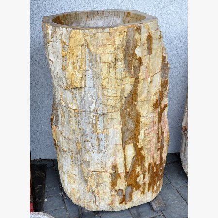 Ice fountain, kneip pool of petrified wood