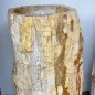 Ice fountain, kneip pool of petrified wood