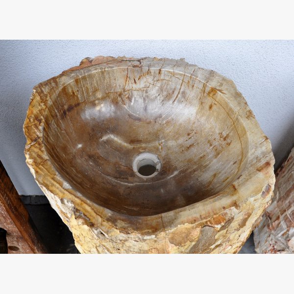 Ice fountain, kneip pool of petrified wood
