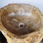 Ice fountain, kneip pool of petrified wood