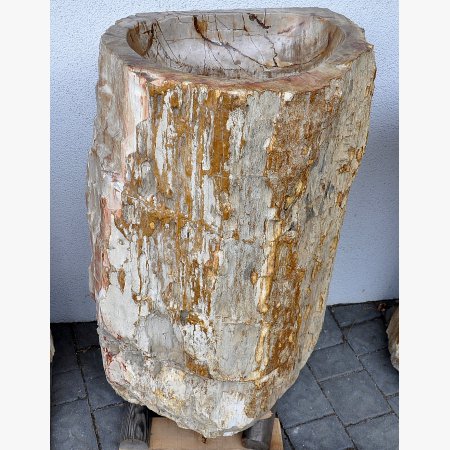 Ice fountain, kneip pool of petrified wood