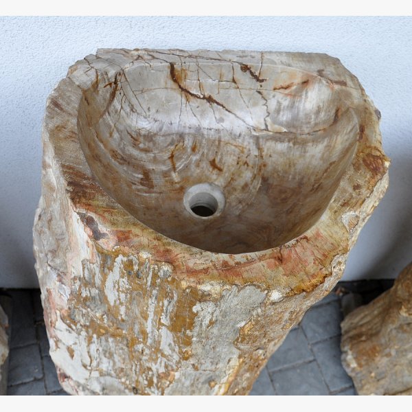Ice fountain, kneip pool of petrified wood