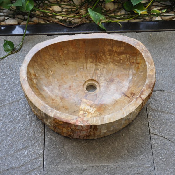 Wash basin of petrified wood