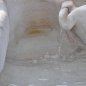 Passeirer Marmor Schnabelbrunnen