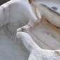 Passeirer Marmor Schnabelbrunnen