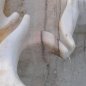 Passeirer Marmor Schnabelbrunnen