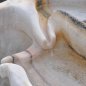 Passeirer Marmor Schnabelbrunnen