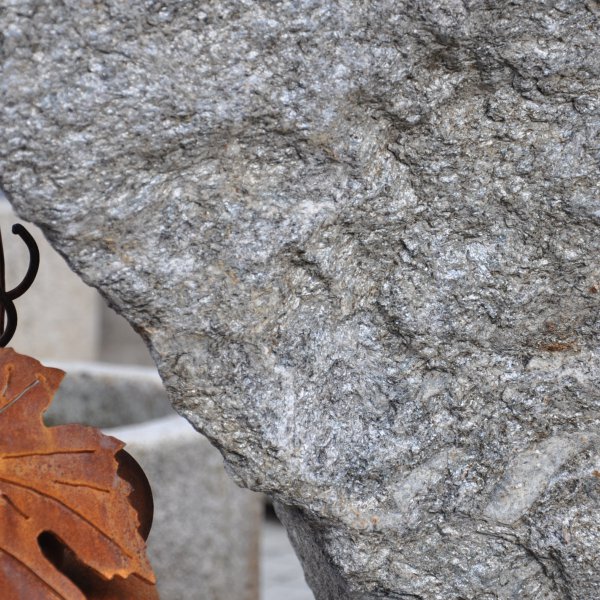 Grappolo d’uva fissato su un masso di gneiss della Val Passiria
