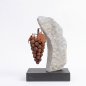 Grappolo d’uva fissato su un masso di gneiss della Val Passiria