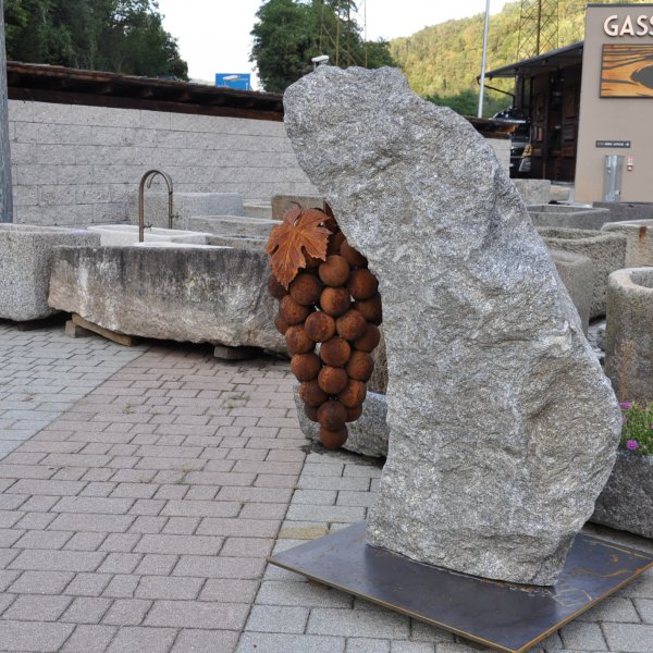 Grappolo d’uva fissato su un masso di gneiss della Val Passiria