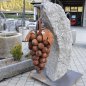 Grappolo d’uva fissato su un masso di gneiss della Val Passiria