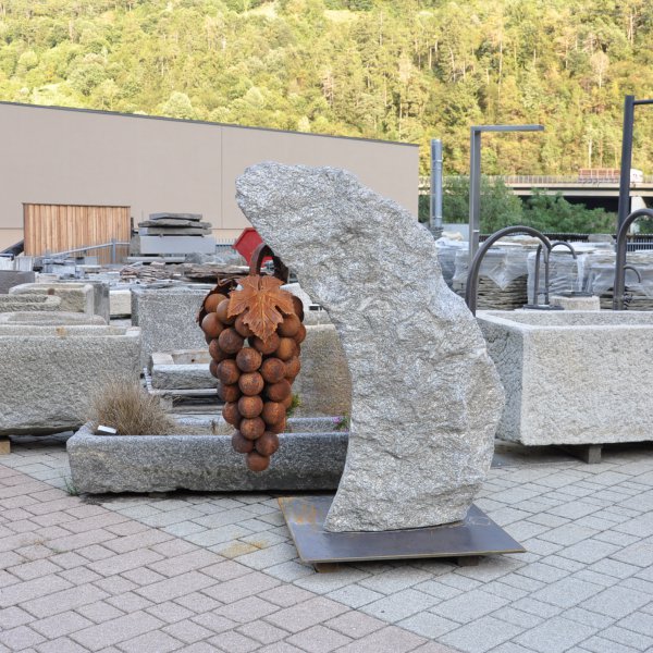 Grappolo d’uva fissato su un masso di gneiss della Val Passiria