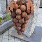 Grappolo d’uva fissato su un masso di gneiss della Val Passiria